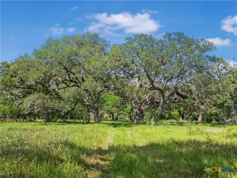 Meyersville Acreage with Development Potential