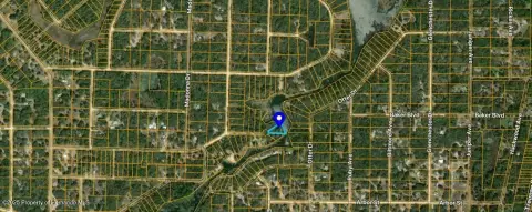 Vacant Land in Webster, FL