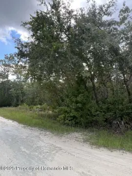Weeki Wachee 1.2 Acre Lot