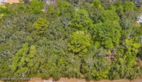 Citrus Hills Vacant Land