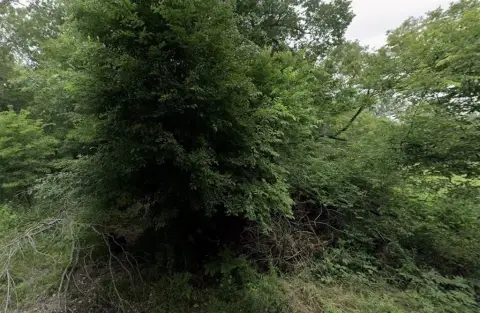 Land Near Downtown Greenville