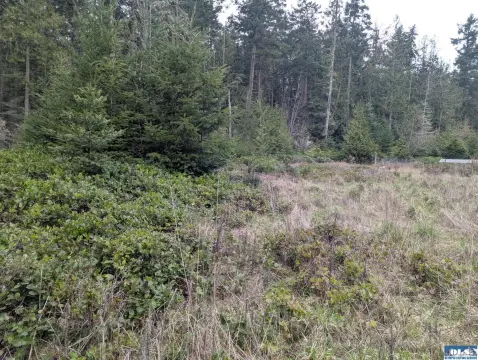 Sequim Build-Ready Lot For Sale