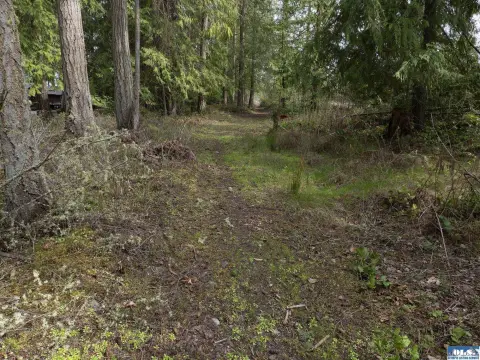 Sequim Land with Development Potential