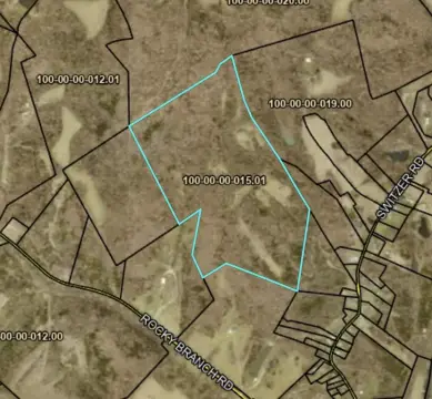Wooded Hunting Land Tract