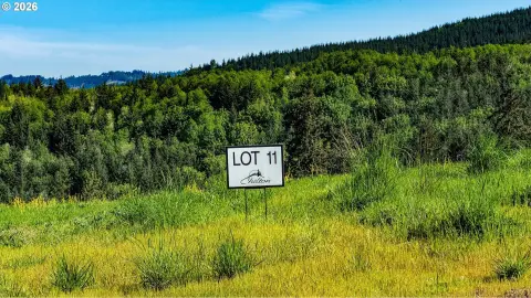 LDR-Zoned Residential Land Lot