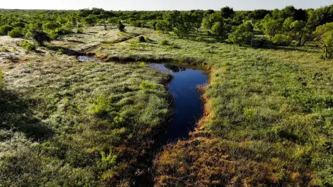 Ranch and Hunting Tract