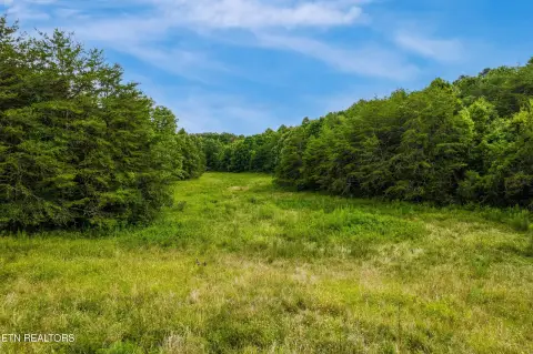Unrestricted Land in Kodak, TN