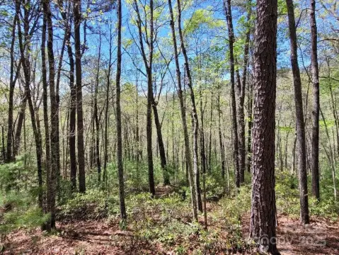 Gently Sloping Lot in Marion
