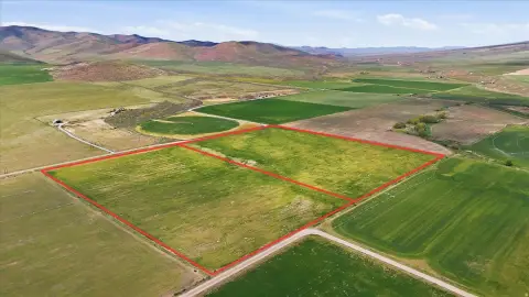 50+ Acre Land Opportunity