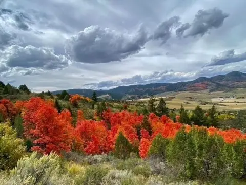 Lava Hot Springs Recreational Land