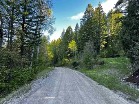 Forested Lot in Lava Ranch