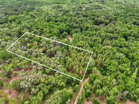 5 Acre Wooded Land Parcel