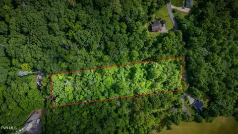 Wooded Homesite in Buffalo Ridge