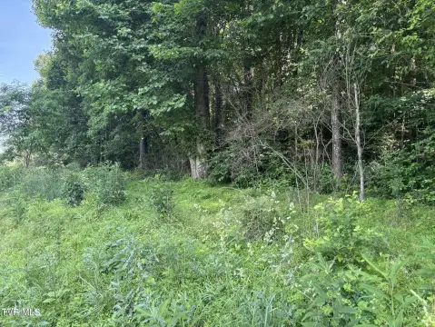 Abingdon, VA Acreage For Sale