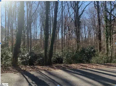 Gaffney Residential Lot Opportunity