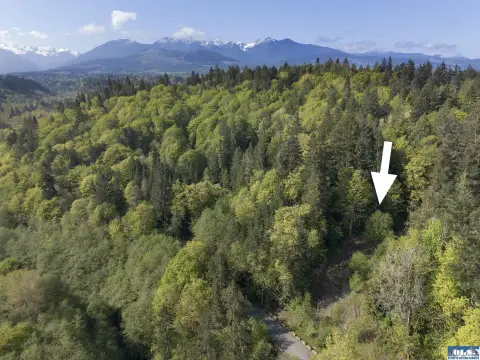 Acre Parcel off Cottonwood Lane