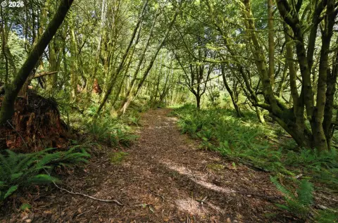 Coquille Land with Valley Views