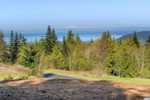Sequim Land with Water Views
