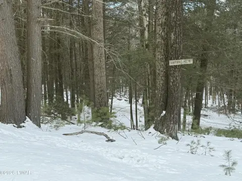 Land Near Lake Wallenpaupack