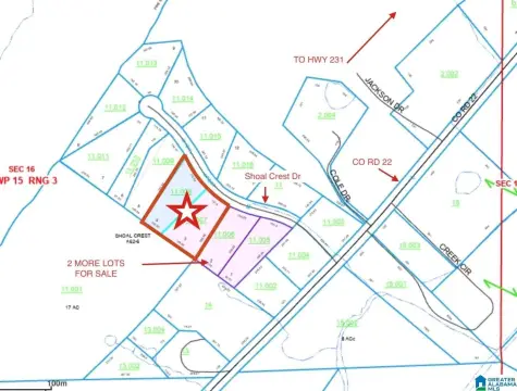 Residential Lots in Ashville, AL
