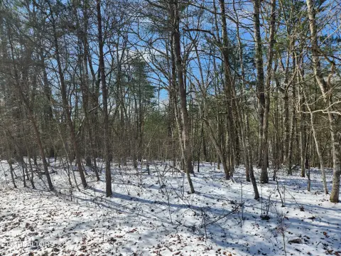 Vacant Lot in Fairfield Glade