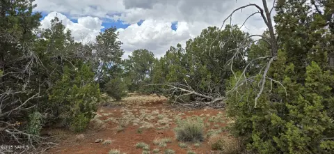 36 Acres Near Forest Service