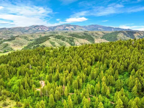 Creekfront Recreational Land Parcel