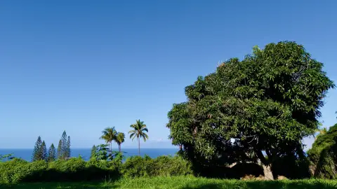 Kihei Vacant Land with Ocean Views