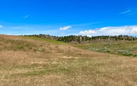 Kaycee, WY Vacant Land