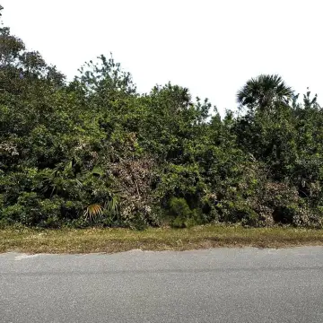 Golden Gate Estates Land Opportunity