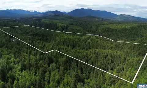 Secluded Timber Parcel with Mountain Views