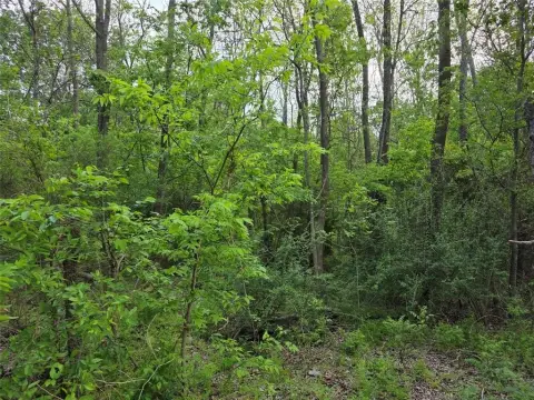 Greenville Land for Residential Development