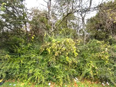 Corner Lot in Dallas, TX