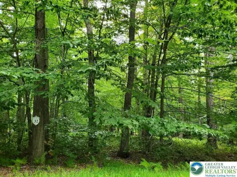 Wooded Lot in Tall Oaks