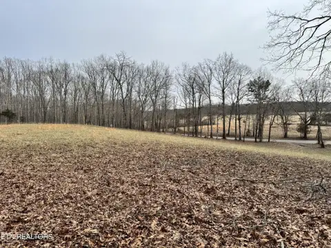 Rockwood, TN 5-Acre Land