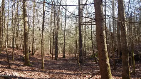 Jamestown, TN Land For Sale