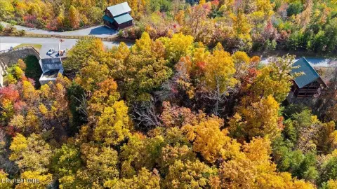 Sevierville Land in Starr Crest