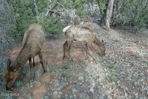 Secluded Land Near Grand Canyon