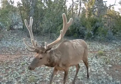 Land Near Grand Canyon Entrance