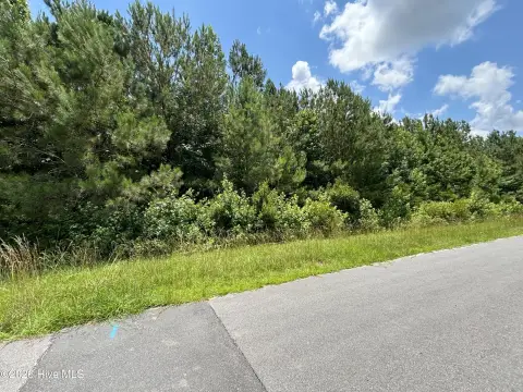 Industrial Zoned Land