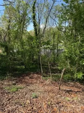 Woodfin Land in Convenient Location