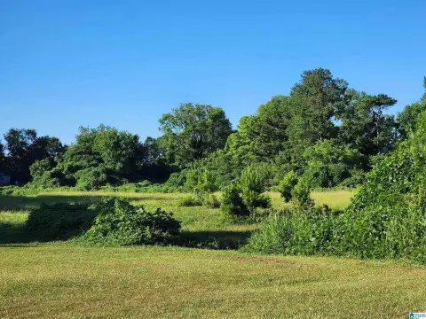Land Near Black Warrior River