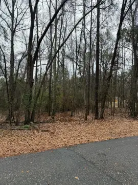 Residential Land in Troy, Alabama