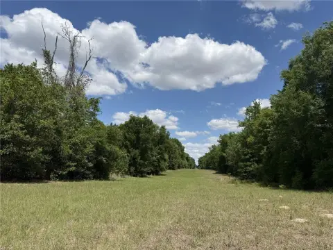 Versatile Land Parcel in Chiefland