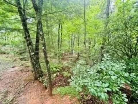 Wooded Lot in Blue Ridge