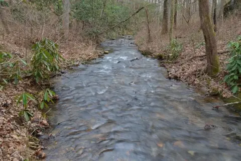 Creekfront Lots in Vineyard Creek