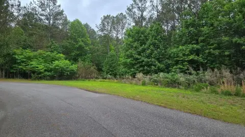 Blairsville, GA Vacant Lot