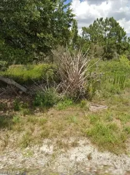 Residential Building Lot