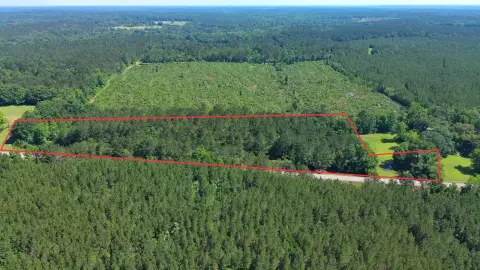 Wooded Land on MS-584