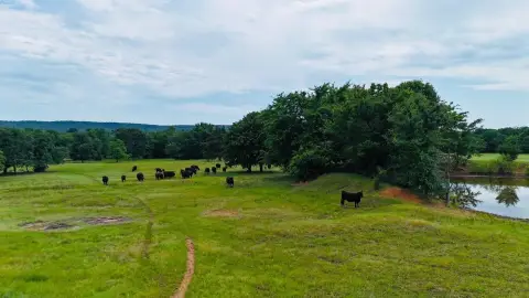 65 Acres Near Eufaula Lake